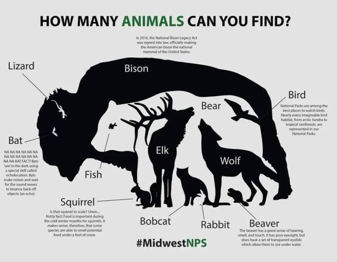 How Many Animals Can You Spot in This Picture? Green Living Tribe