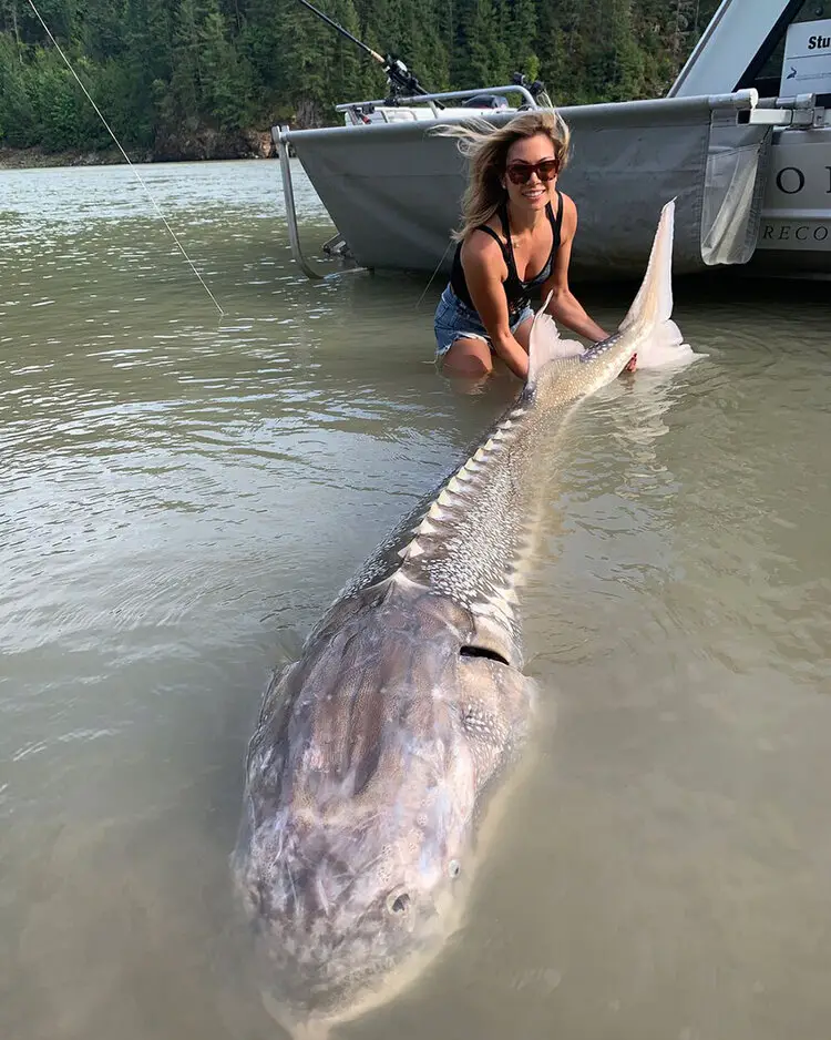 Sturgeon Slayers