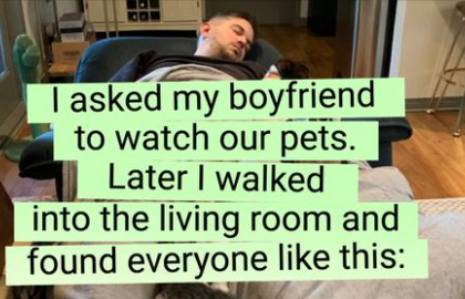 watch pets boyfriend