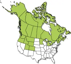 lynx dnr map 