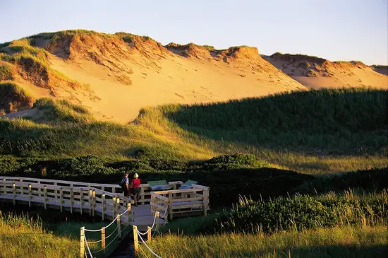 sand dunes PEI trail