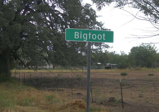 bigfoot texas