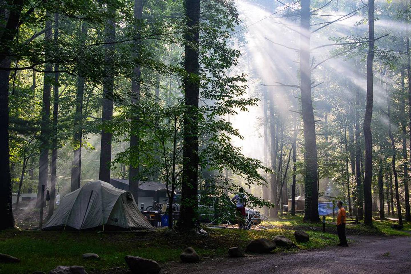 elkmont campground 