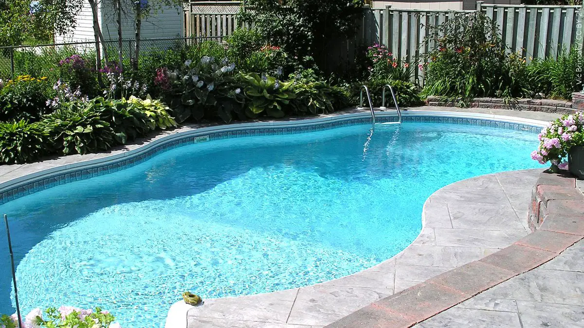 3 Reasons To Avoid Swimming in Chlorinated Pools - Green Living Tribe