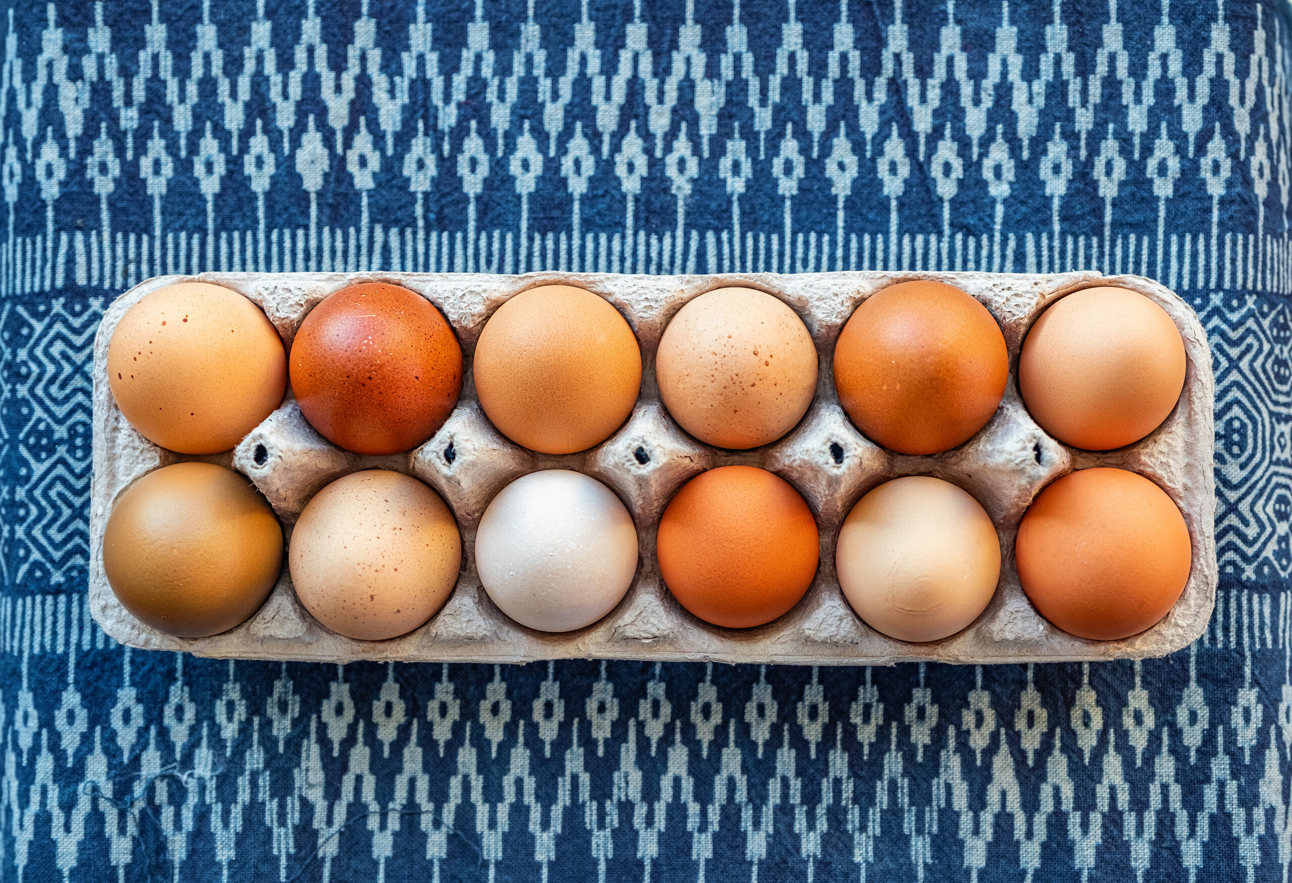 pasture raised chicken eggs