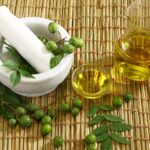 neem oil heals sickness disease
