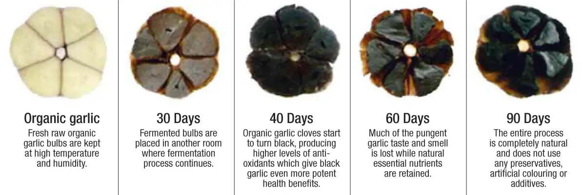 black garlic