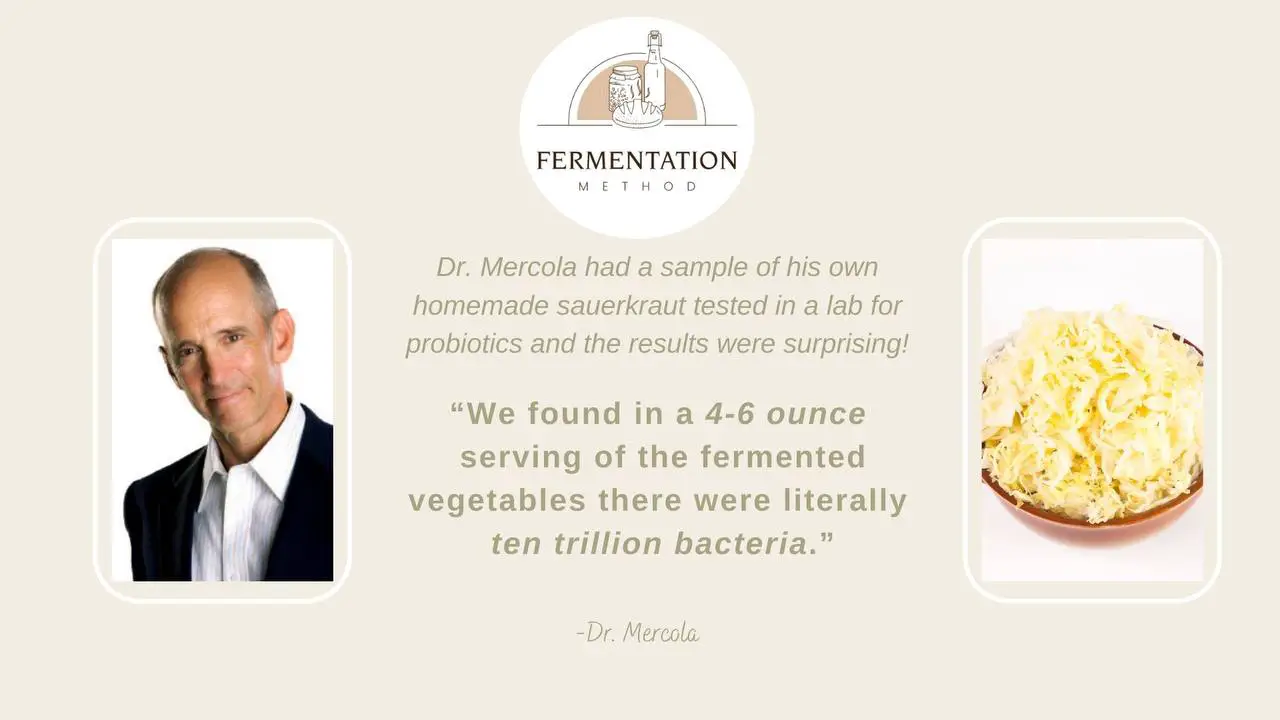 fermented foods