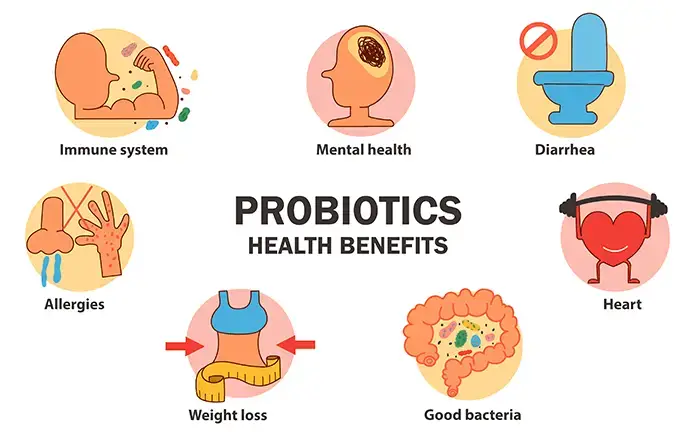 fermented foods