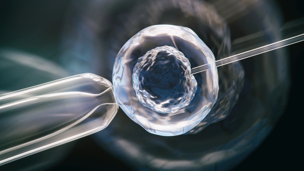 synthetic human embryos