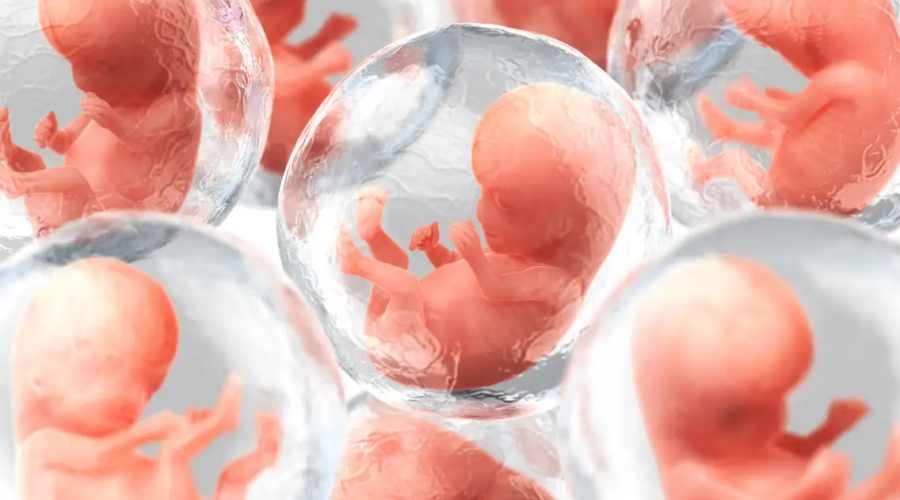 synthetic human embryo