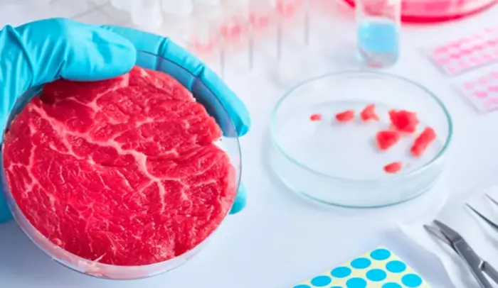 lab-grown meat