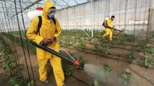 pesticides and herbicides