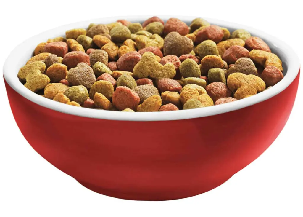 Avoid Buying This Popular Brand Of Dog Food, As Studies Show It’s Causing Behavioral Issues, Severe Sickness, And Even Death In Hundreds Of Cases