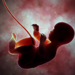 mother's womb