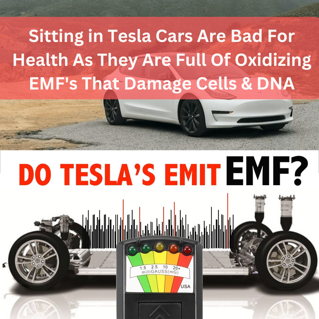 Sitting in Tesla Cars Are Bad For Health As They Are Full Of Oxidizing ...