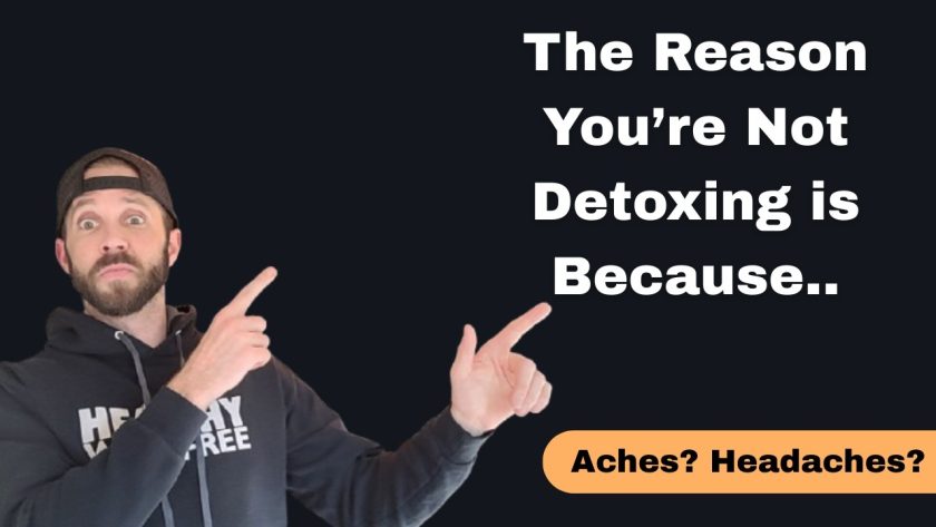 Best Toxins Binders Review