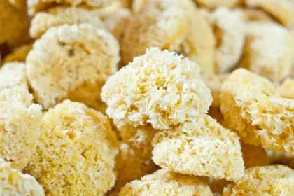 Tremella Mushroom Benefits