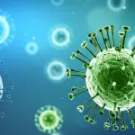 bulletproof immune system