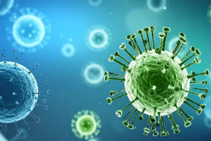 bulletproof immune system