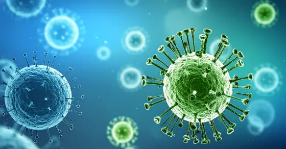 bulletproof immune system